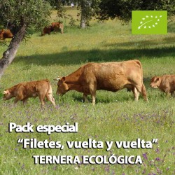 LOTE ESPECIAL filetes...