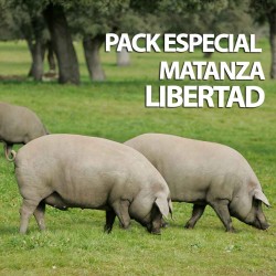 Lote LIBERTAD
